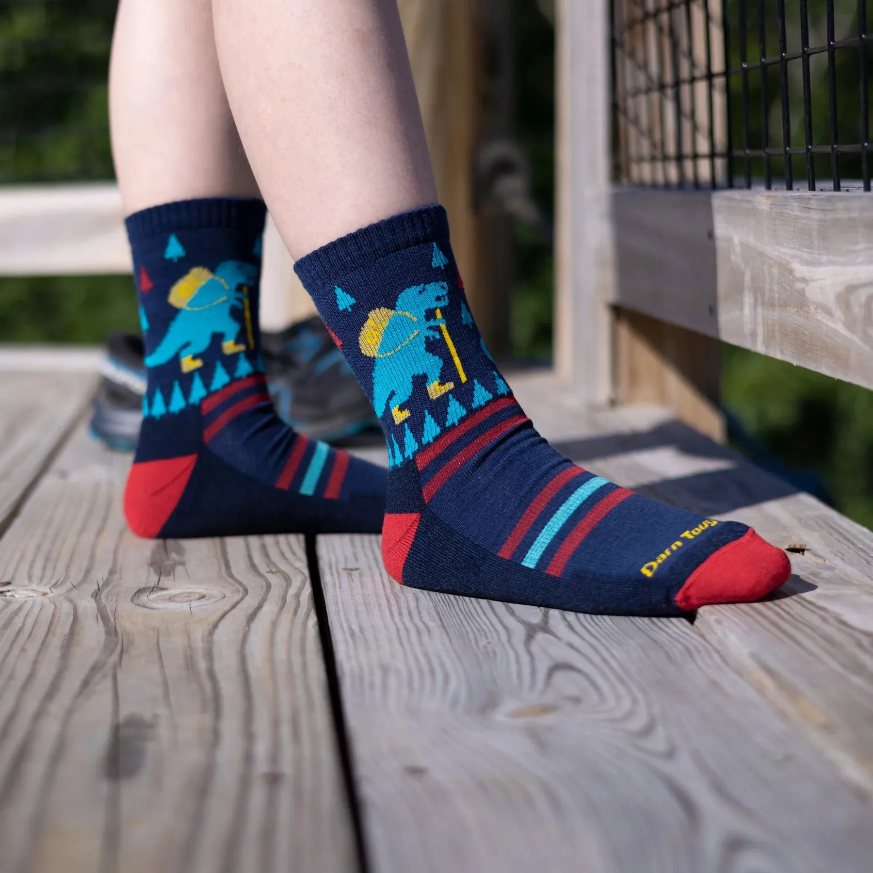 Darn Tough Kids Ty-Ranger-Saurus Micro Crew Lightweight Hiking Sock