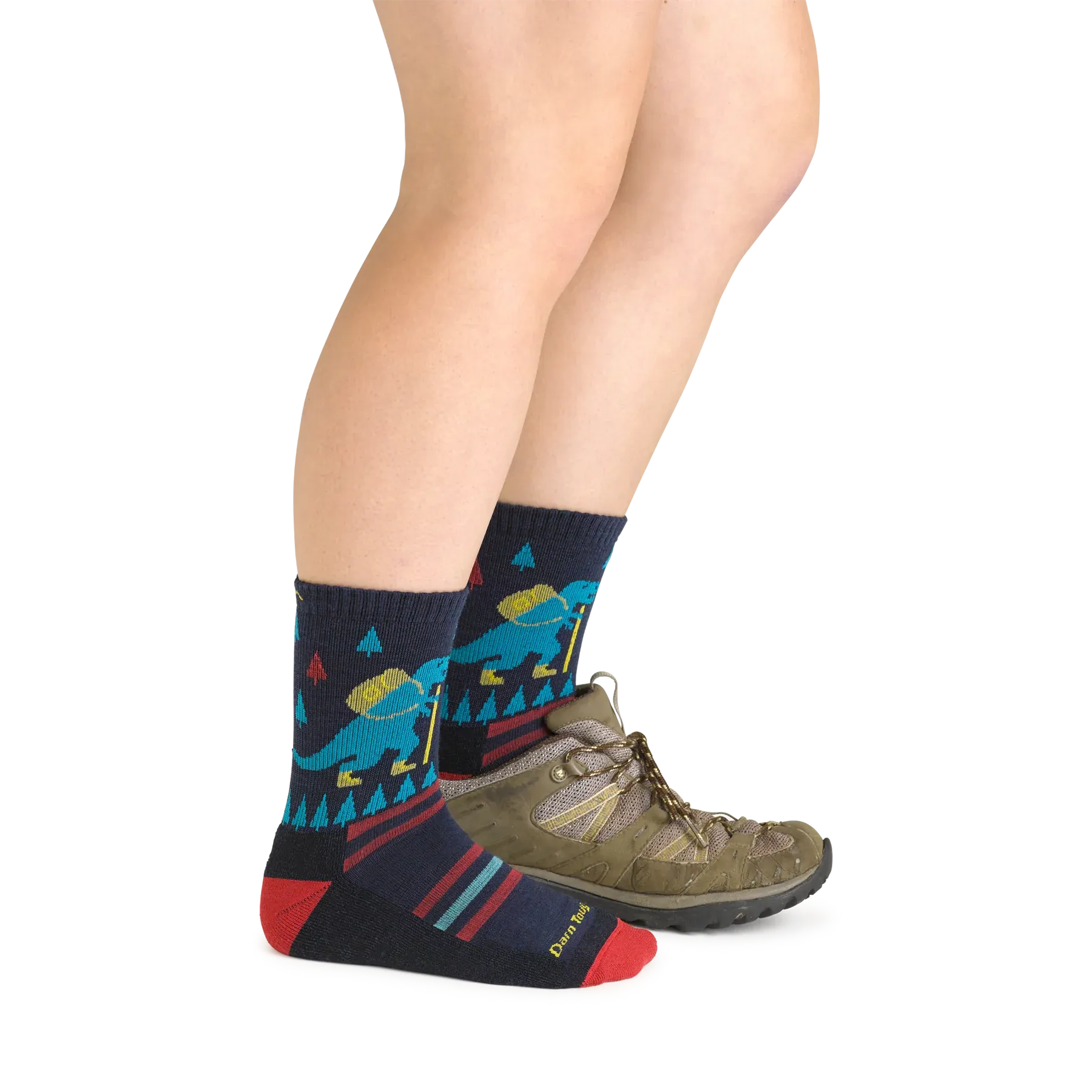 Darn Tough Kids Ty-Ranger-Saurus Micro Crew Lightweight Hiking Sock