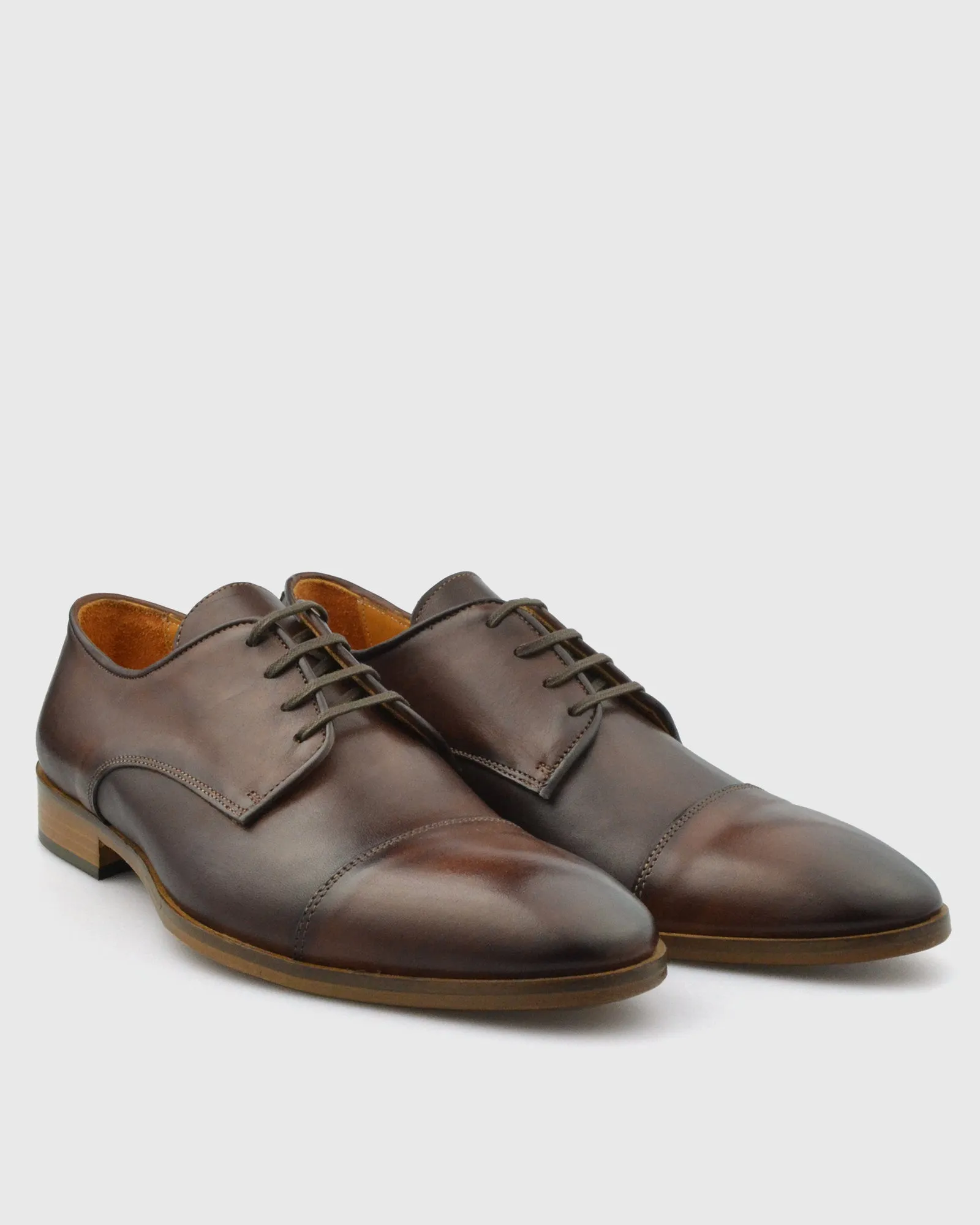 IMASCHI W233371 DERBY LACE T-C BROWN SHOE